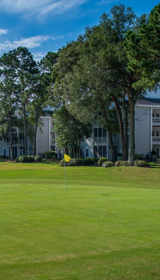 a golf course green with golf-front condos in the background at Sea Trail Golf Resort