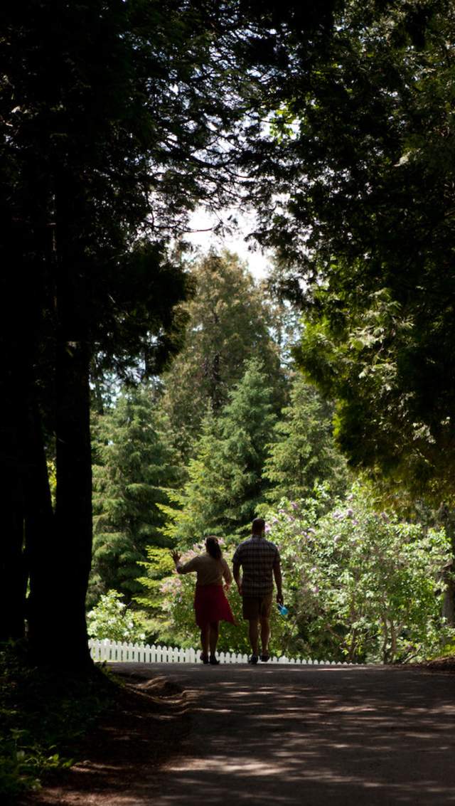 hiking