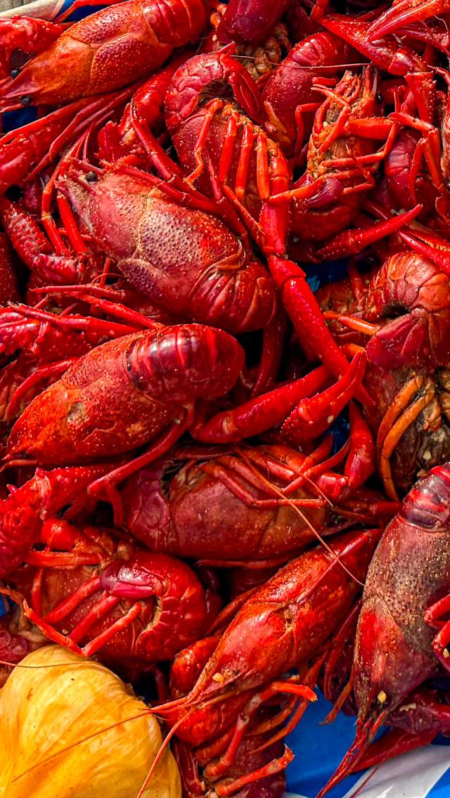 Bayou Boil N Geaux Photo - 2025