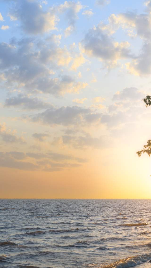 Sunset at Fontainebleau State Park