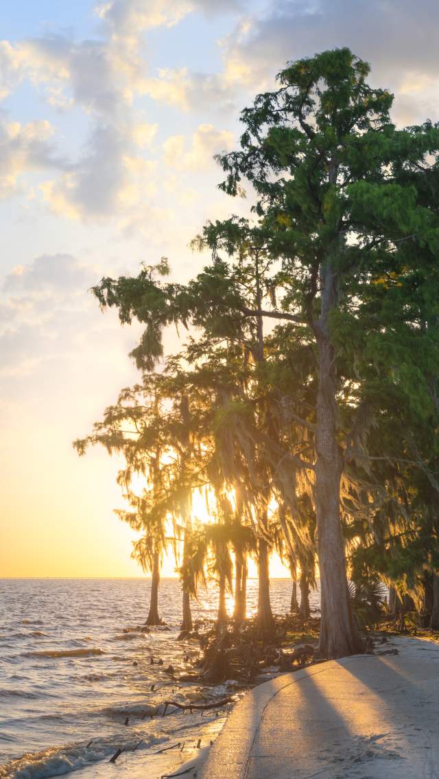 Sunset at Fontainebleau State Park