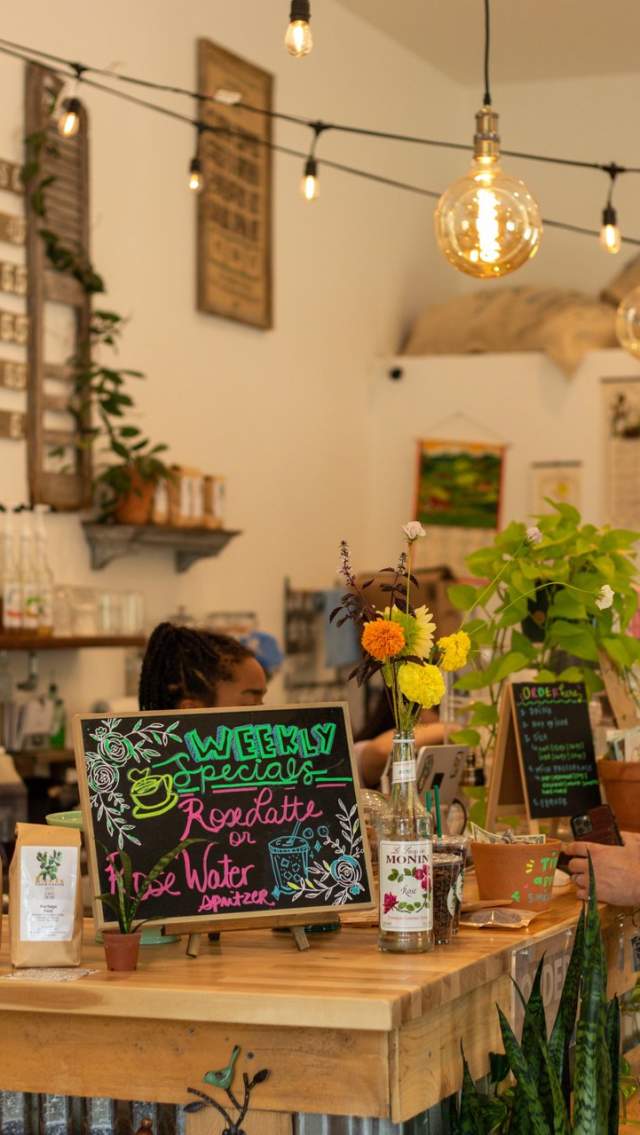 Roots Plants and Coffee