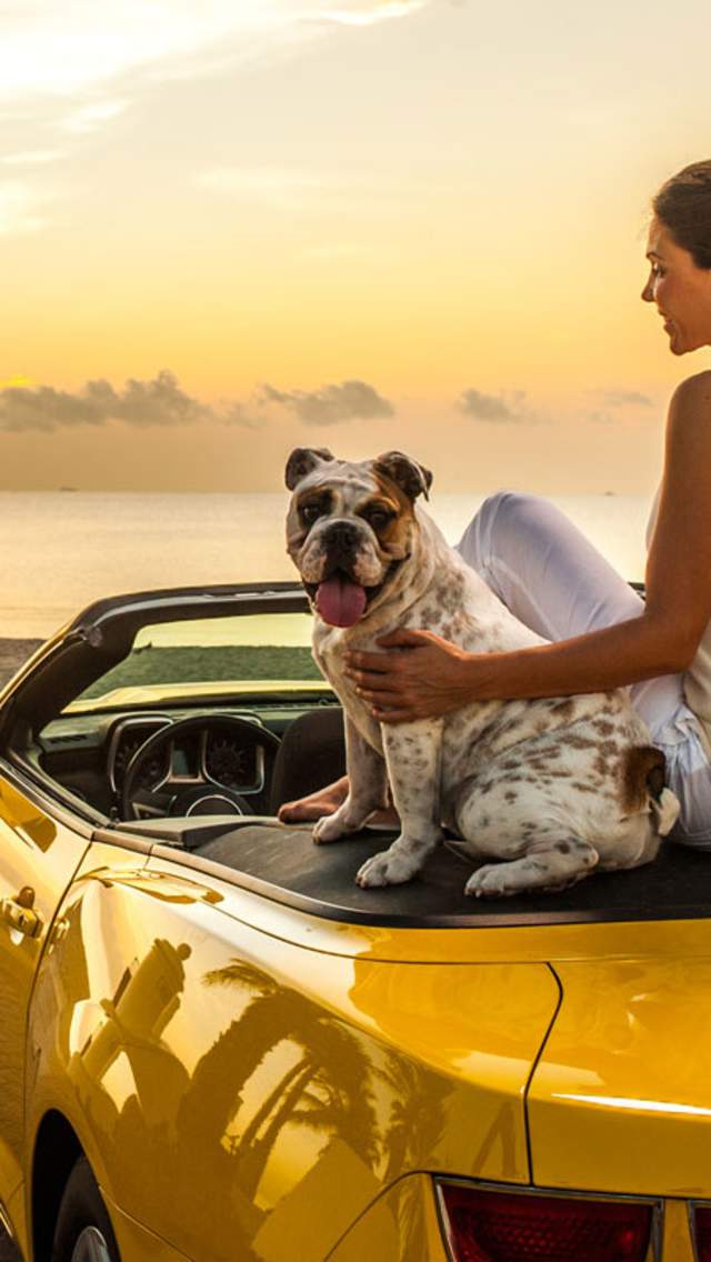 ConvertibleOuttake