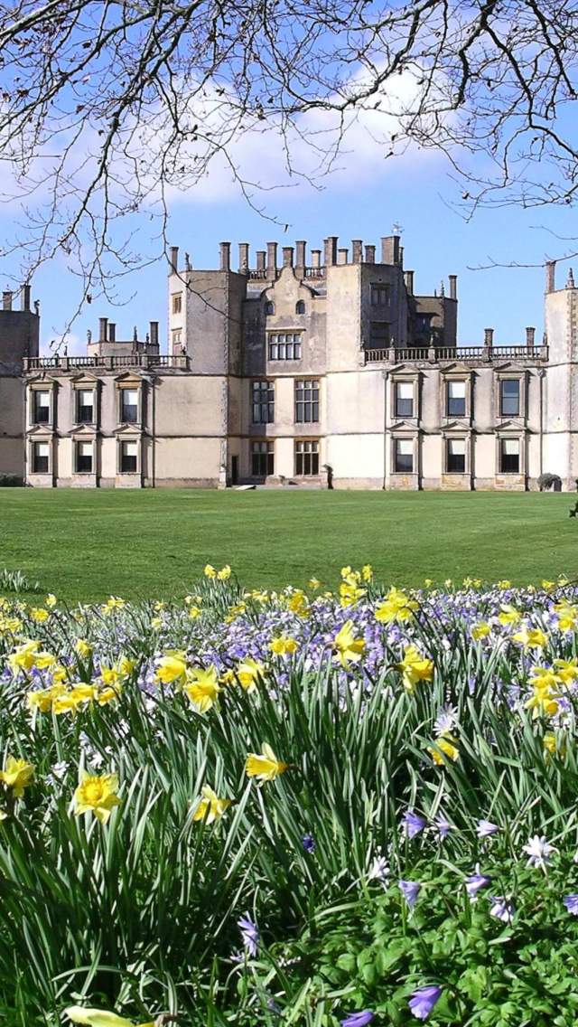 Spring flowers at Sherborne Castle and Gardens in Dorset