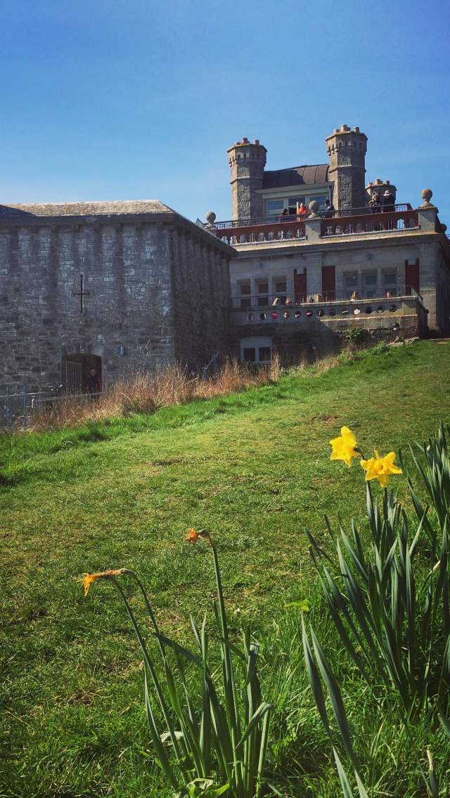 Durlston Castle and Country Park in the spring