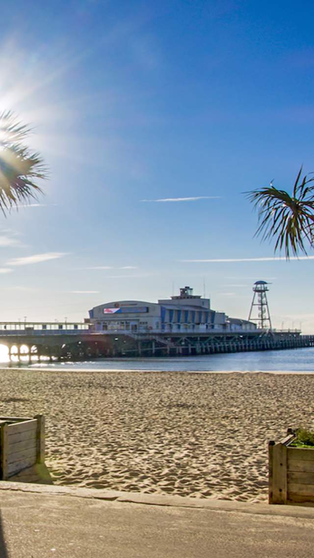 Palm trees in on Bournemouth Beach with the pier in the background.