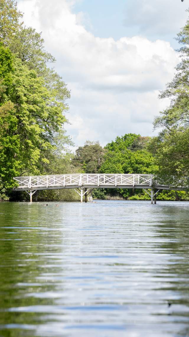 A view of the lake in Hartsholme Country Park, with a white bridge across the water