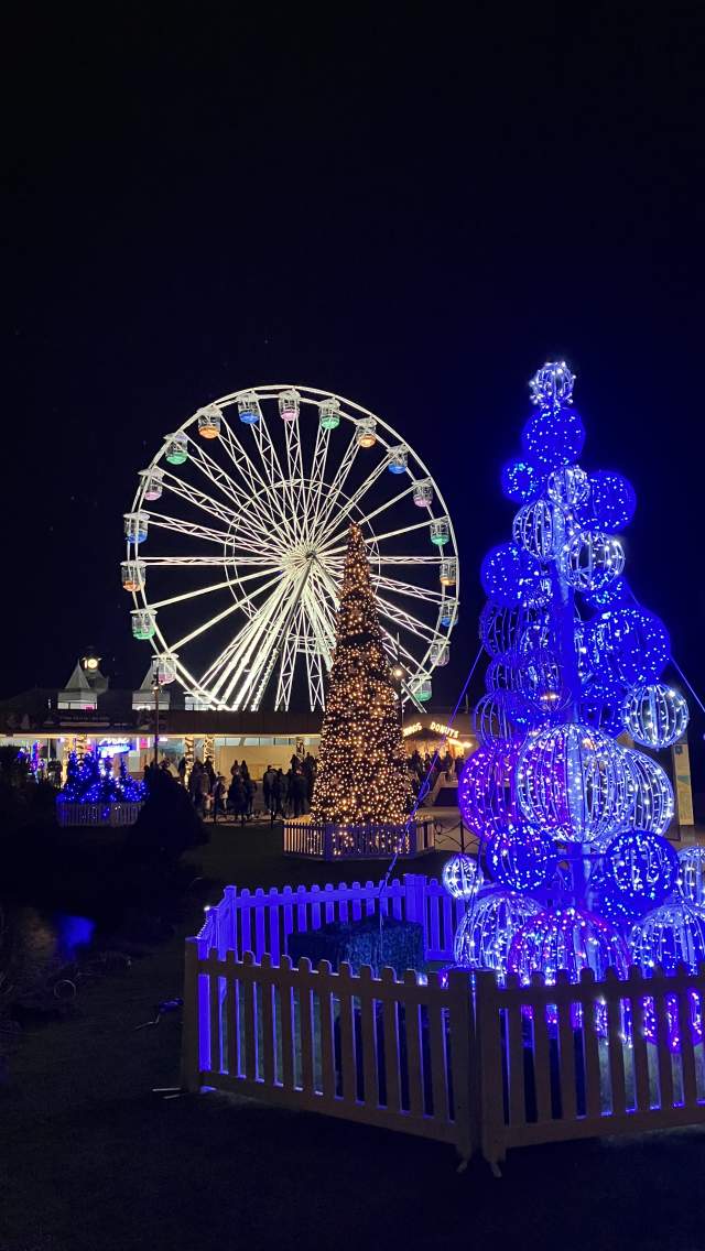 Bournemouth Christmas Tree Wonderland 2023