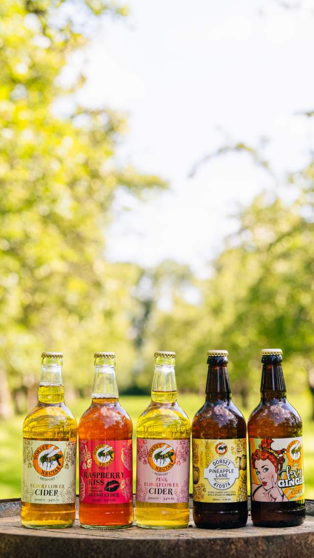 5 Bottles of Dorset Nectar Cider on a barrel in a heritage cider apple orchard