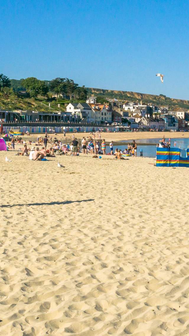 On the Beach at Lyme Regis