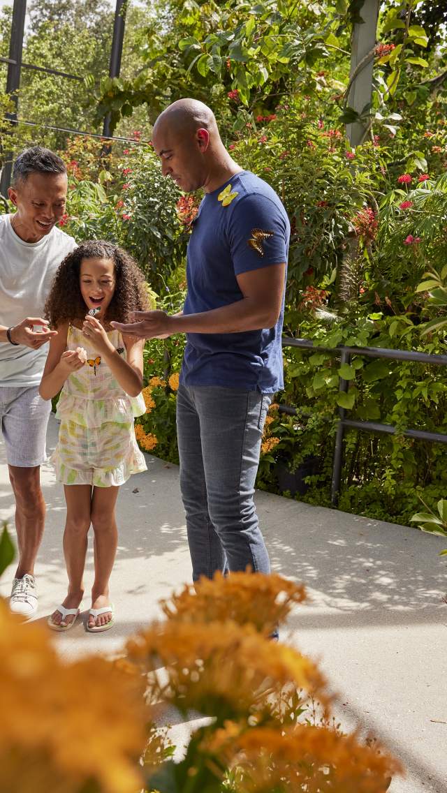 Butterfly World family