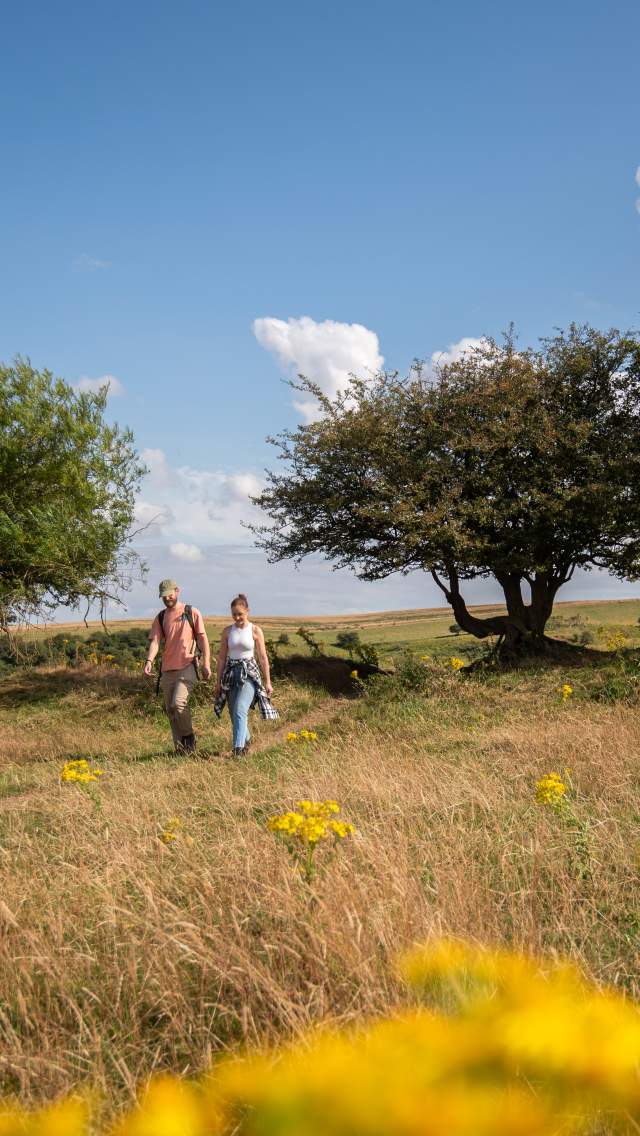 A couple walking through the Lincolnshire Wolds, with flowers in the forefront and blue skies overhead.