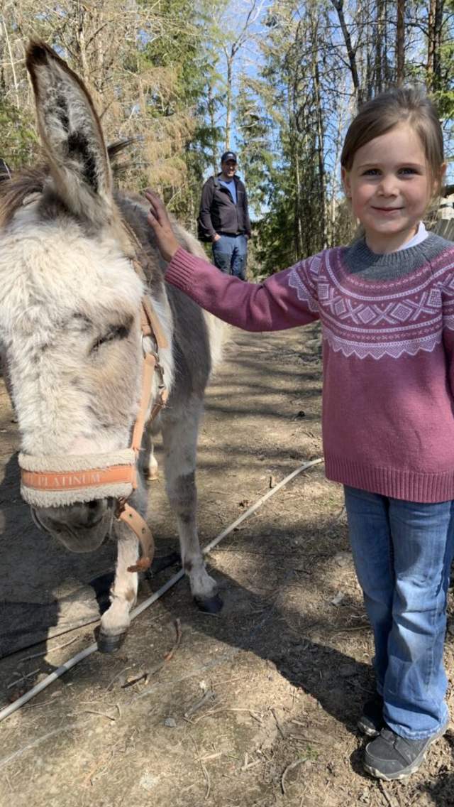 Jente klapper et esel på "The Funny Farm"