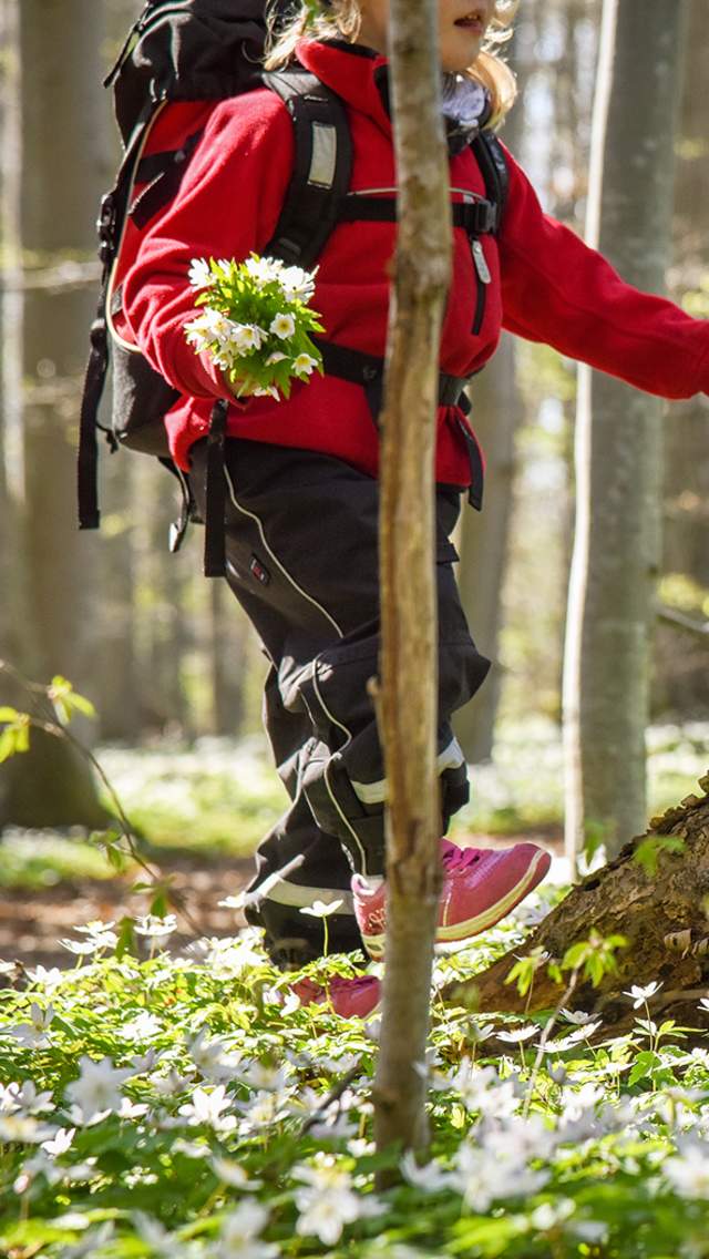 Dame som går tur i hvitveis i Albyskogen