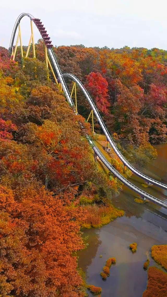 Fall Happenings - Trees with Roller Coaster