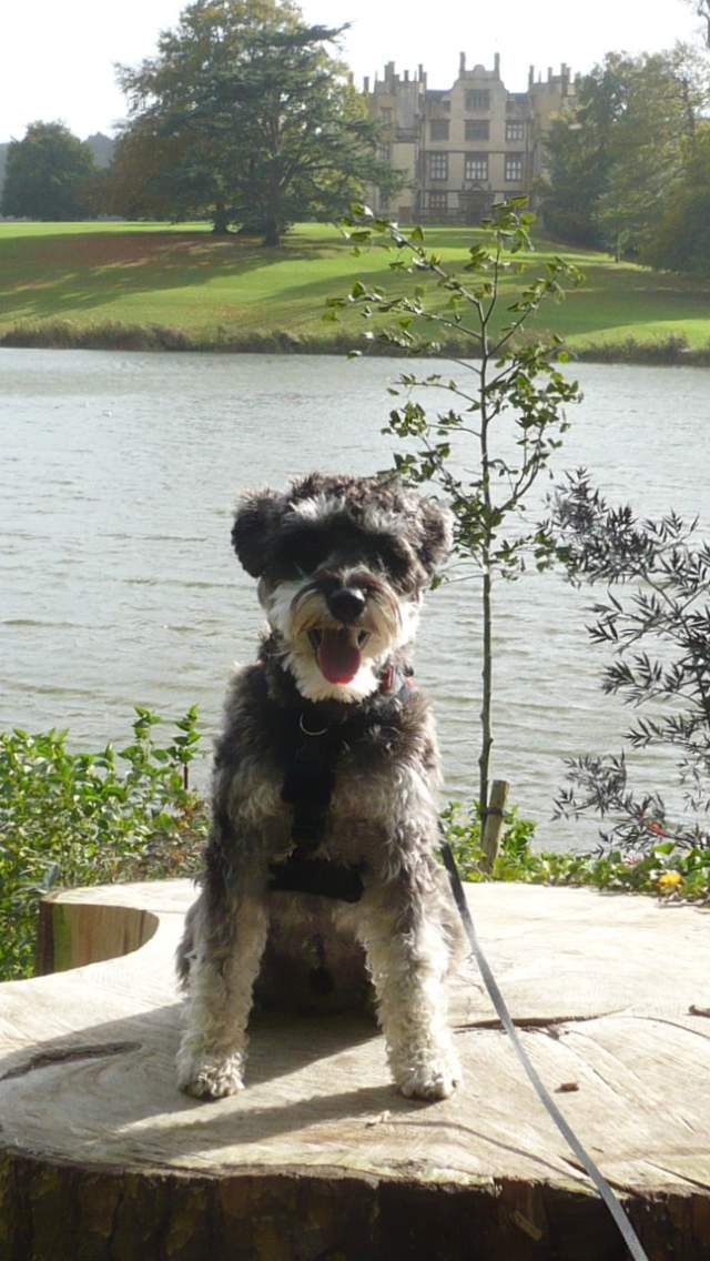 Dylan at Sherborne Castle