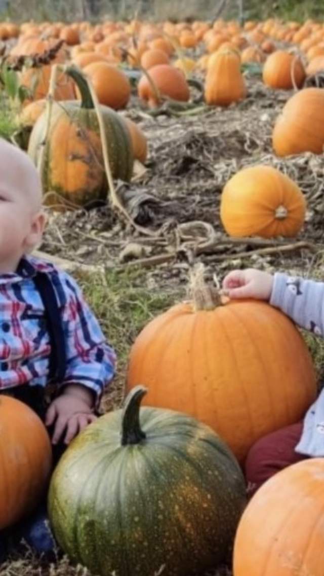 Three babies sitting in a field of pumpkins at Gorcombe Farm in Dorset