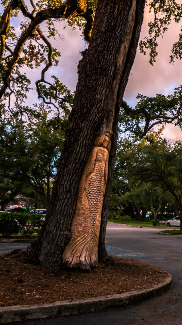 Hand-carved faces adorn many trees around St. Simons Island and are lovingly called the St. Simons Island Tree Spirits
