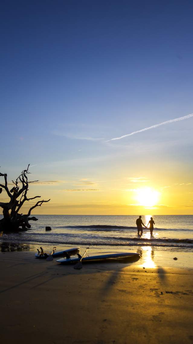 Driftwood Beach on Jekyll Island