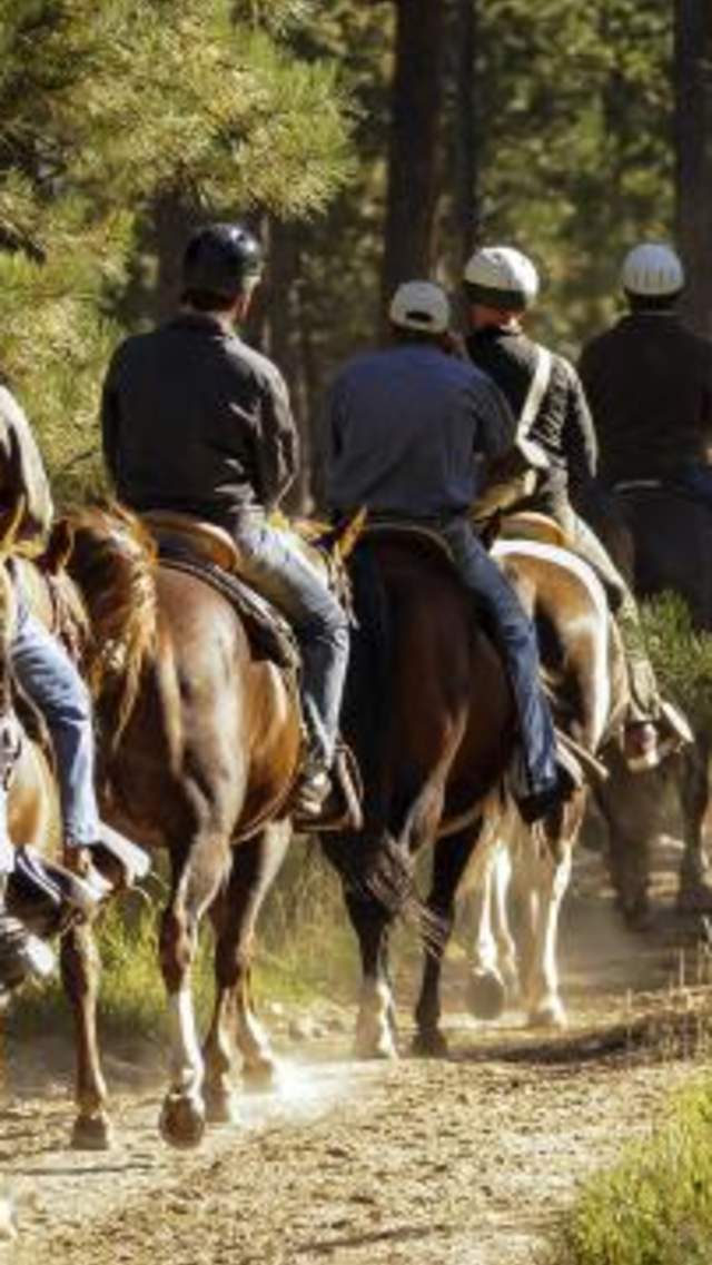 Mickelson-Trail-Horseback-Riding