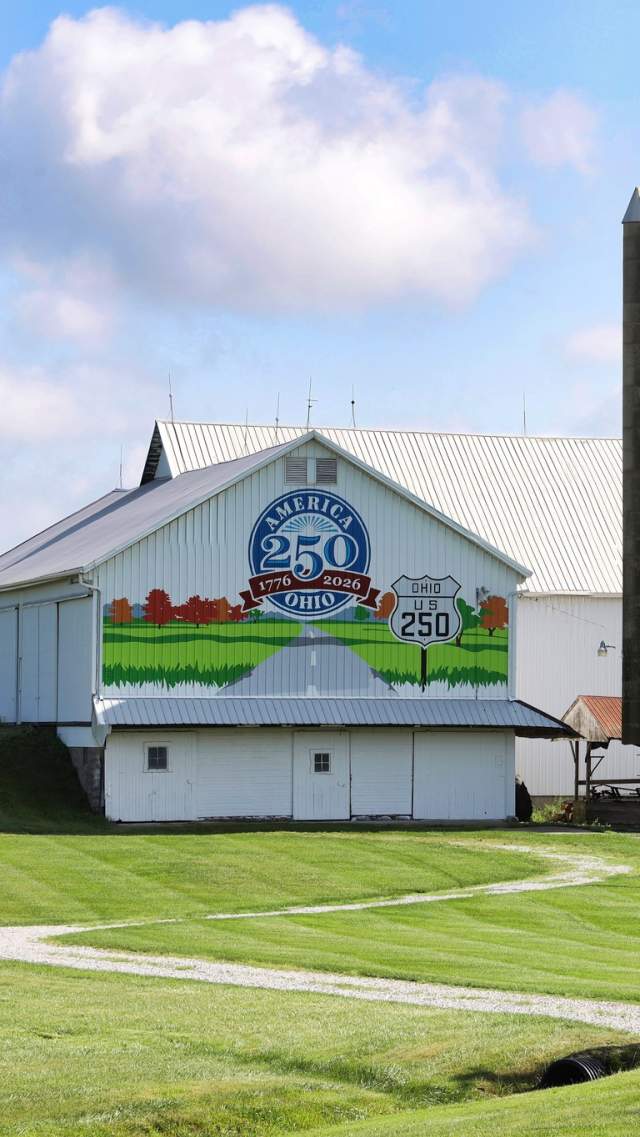 US 250 Barn Painting