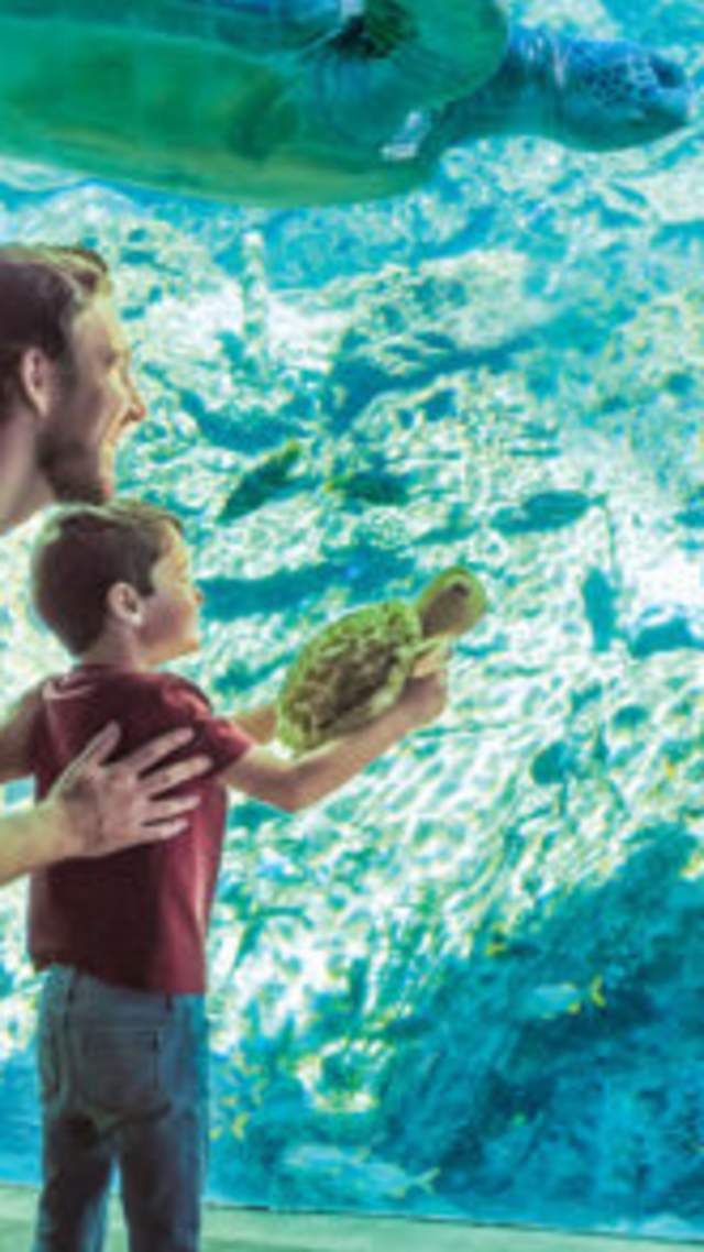 SeaWorld San Antonio & Aquatica