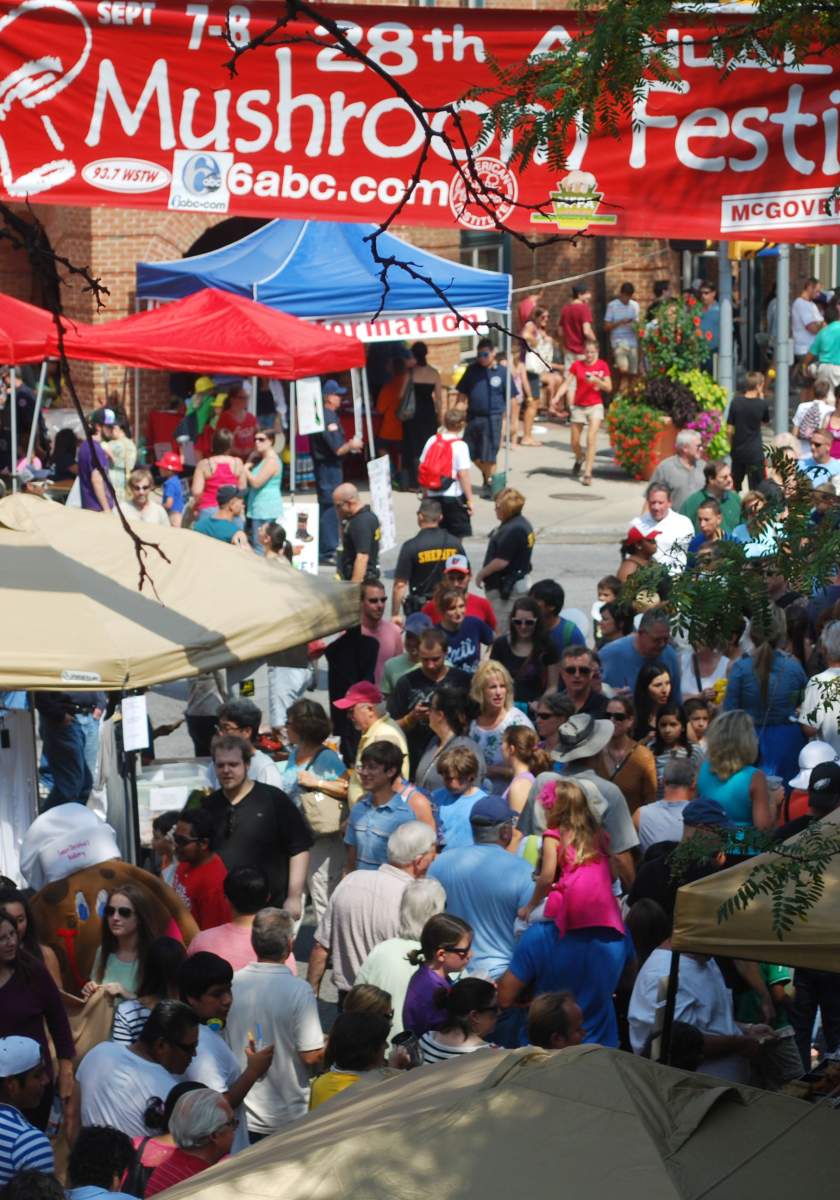 Mushroom Festival