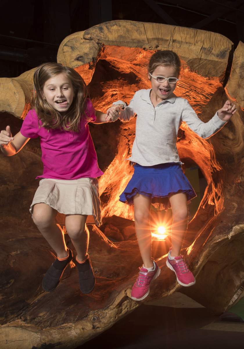 Delaware Children's Museum