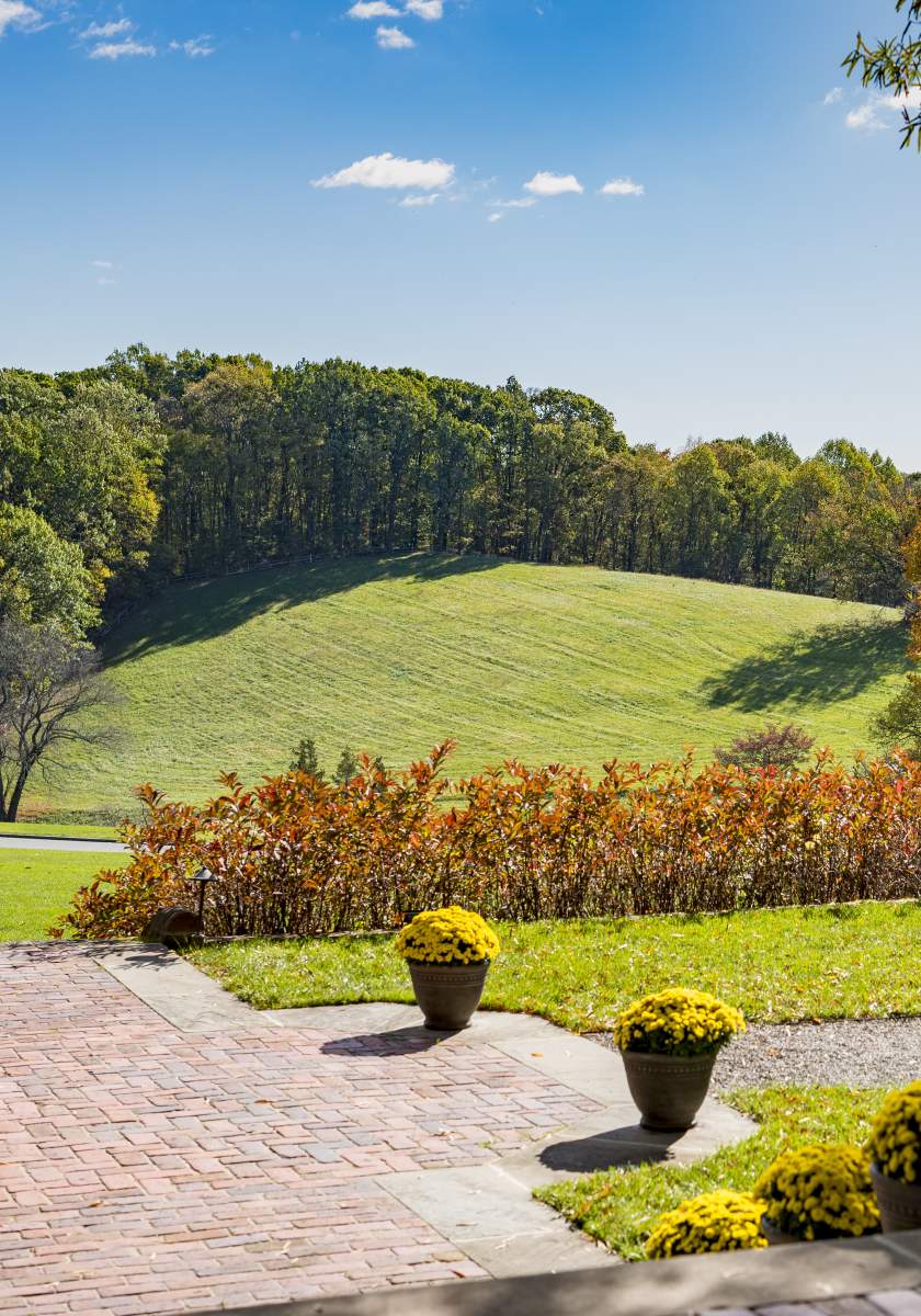 Mt Cuba Center Vista