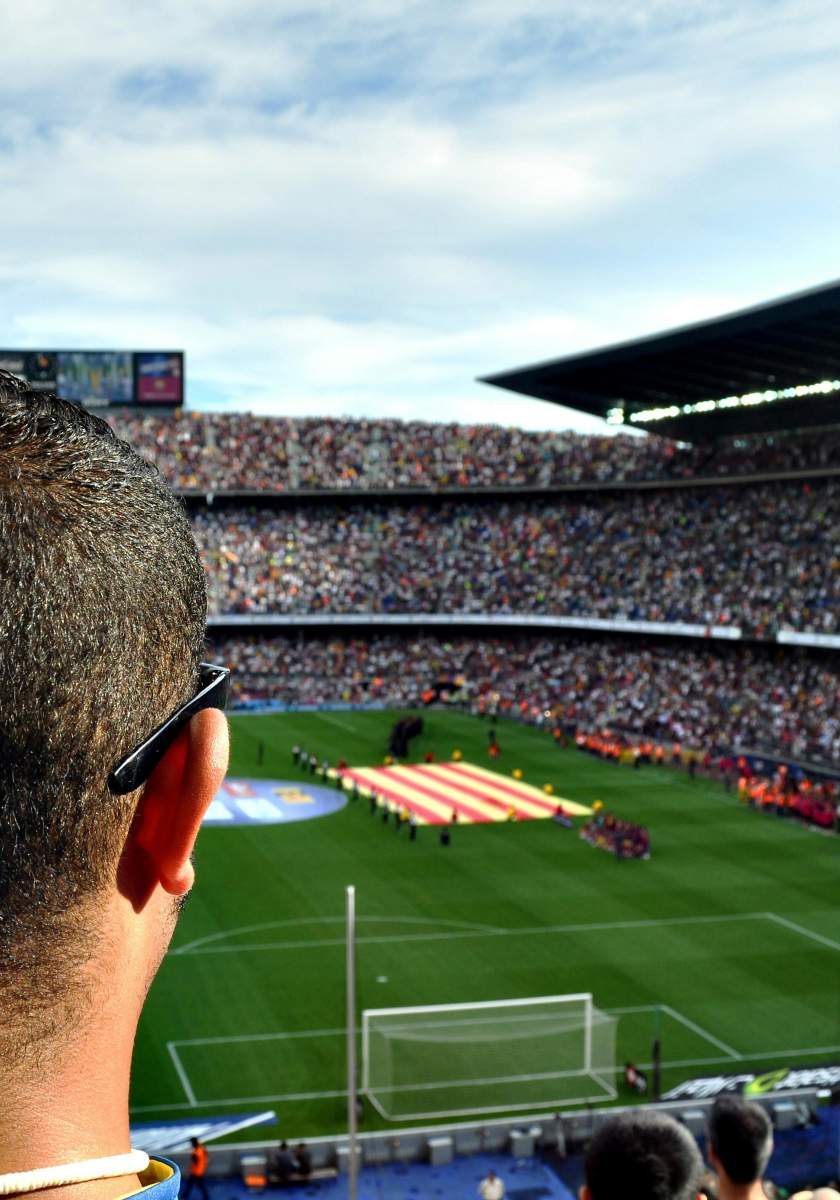 Soccer Fan Cheering - Stock