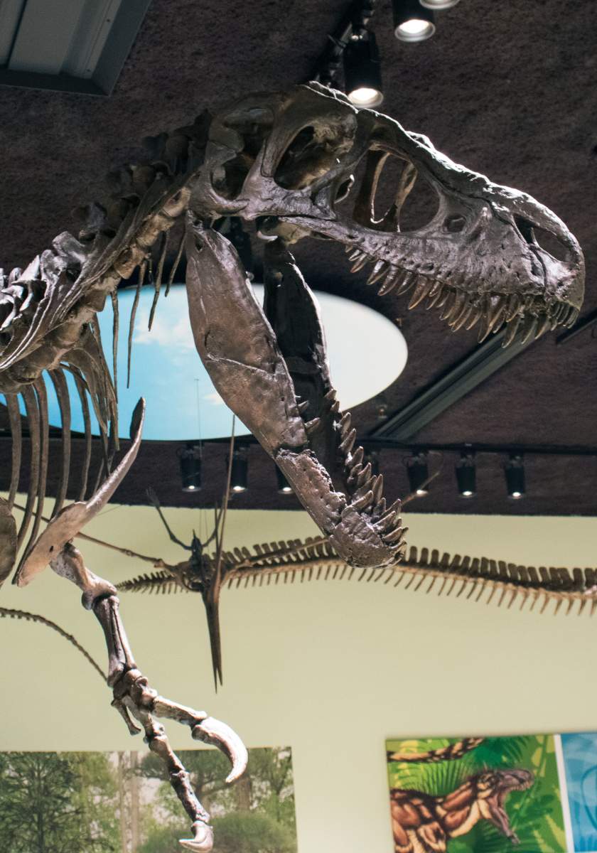 Delaware Museum of Nature & Science