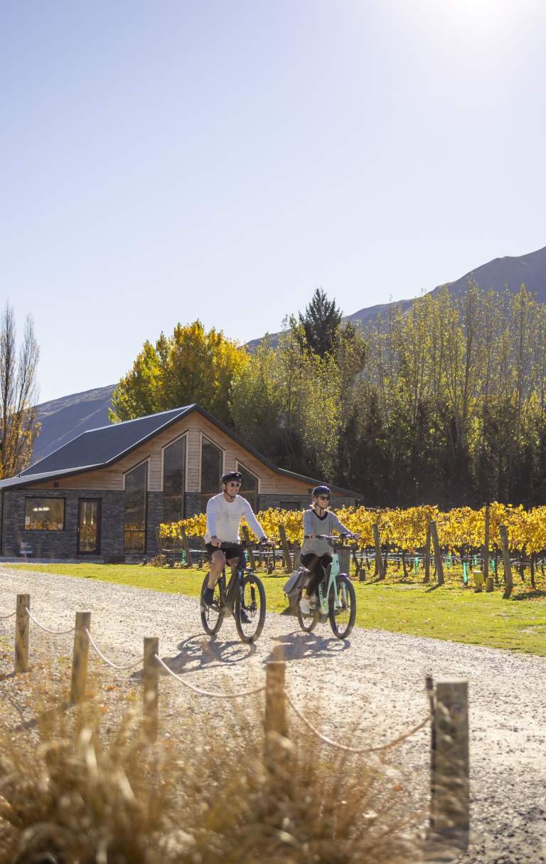 Two people biking next to vines in Gibbston
