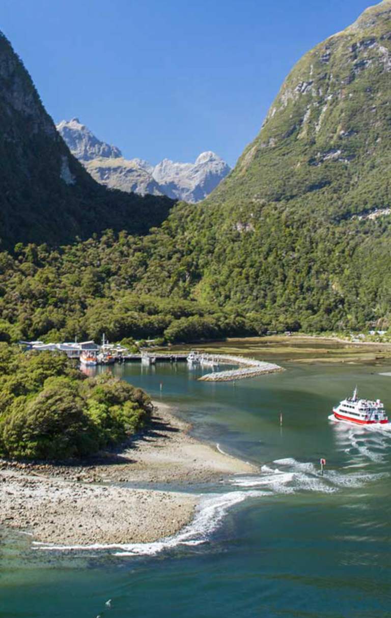 Milford Sound Scenic Cruise