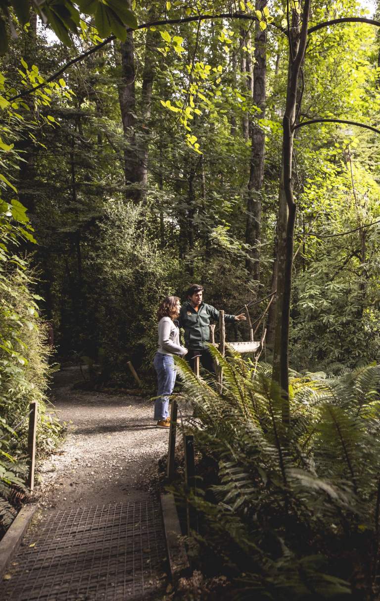 Two people surrounded by native bush at the kiwi park