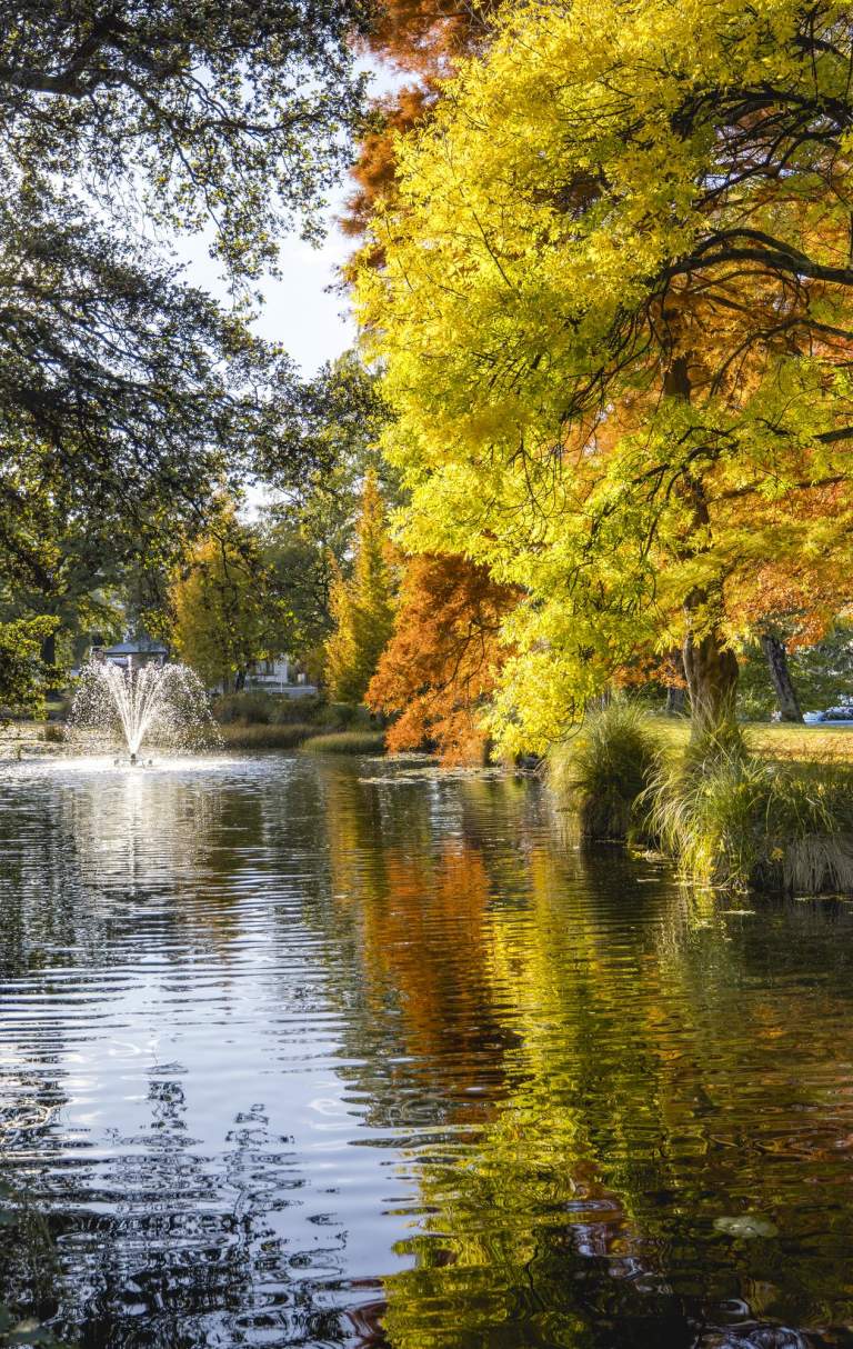 Queenstown Gardens in Autumn, a man takes a photo of a fountain