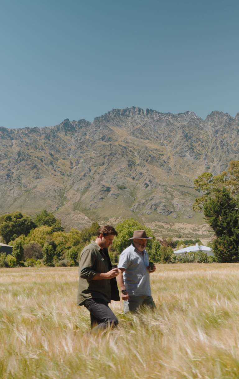 Two people walking in a field of barley