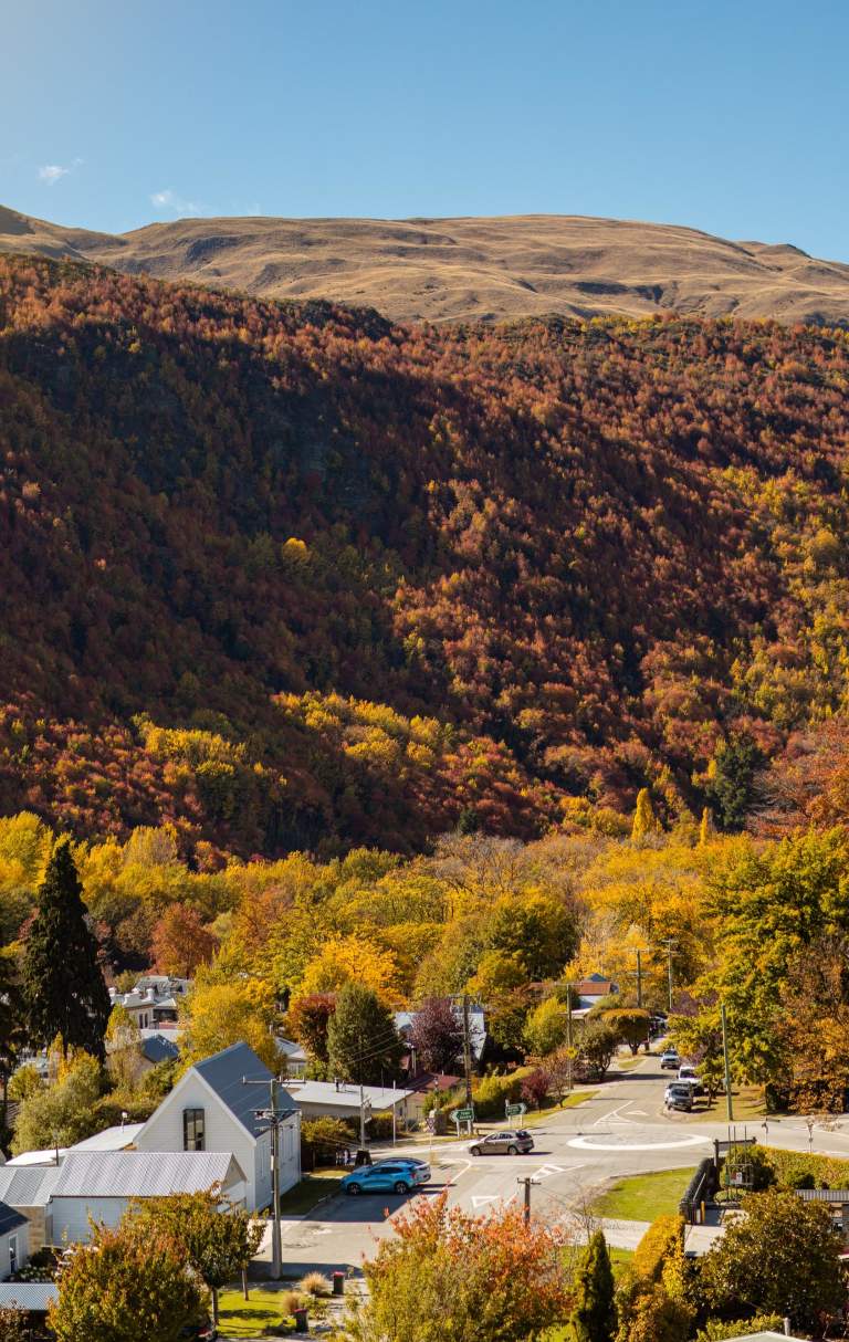 Aerial view of Arrowtown in Autumn