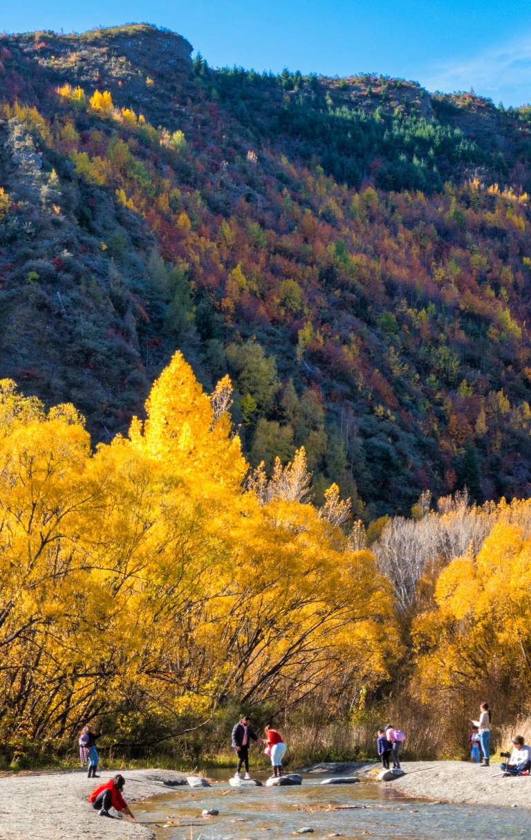 Gold panning in the Arrow River in Autumn