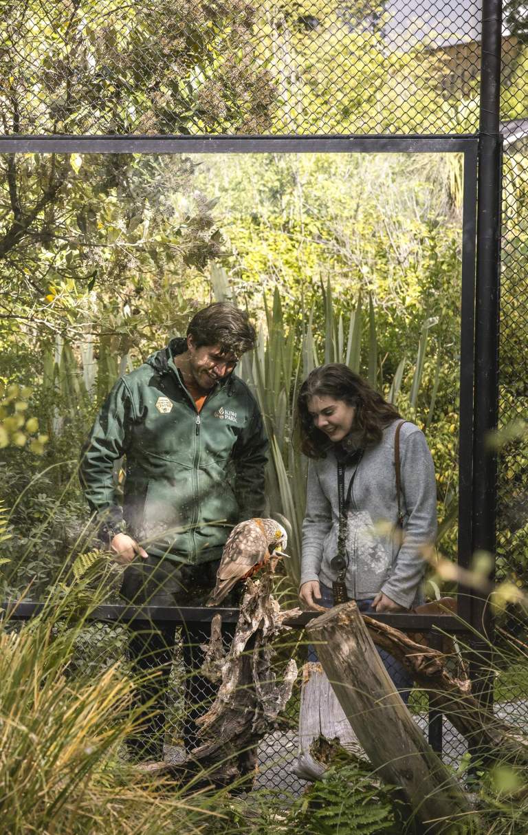 People looking into an enclosure at a Kaka, New Zealand Native Parrot