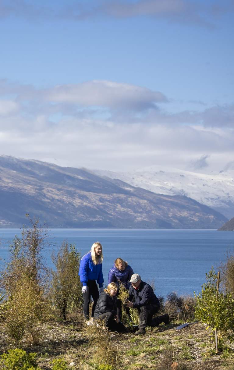 Group plating trees at at Jardine Park, Kelvin Heights,