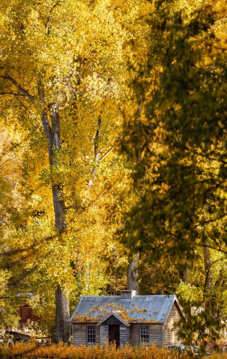 A stunning photo of the Arrowtown Police Hut in autumn