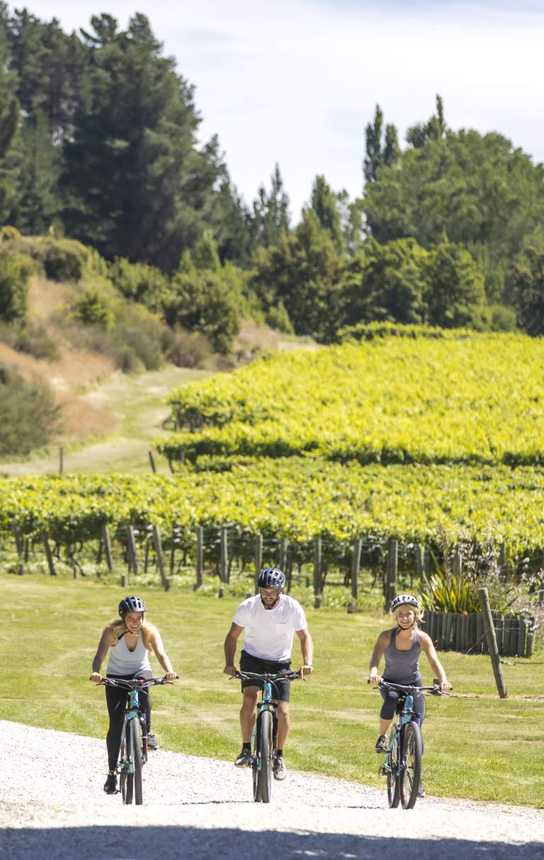 Friends Biking Gibbston Wineries in summer