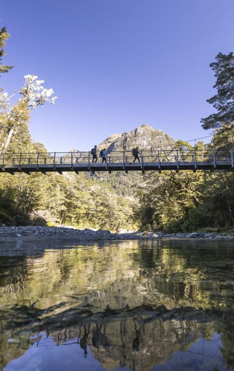 Suspended bridge over river surrounded by trees