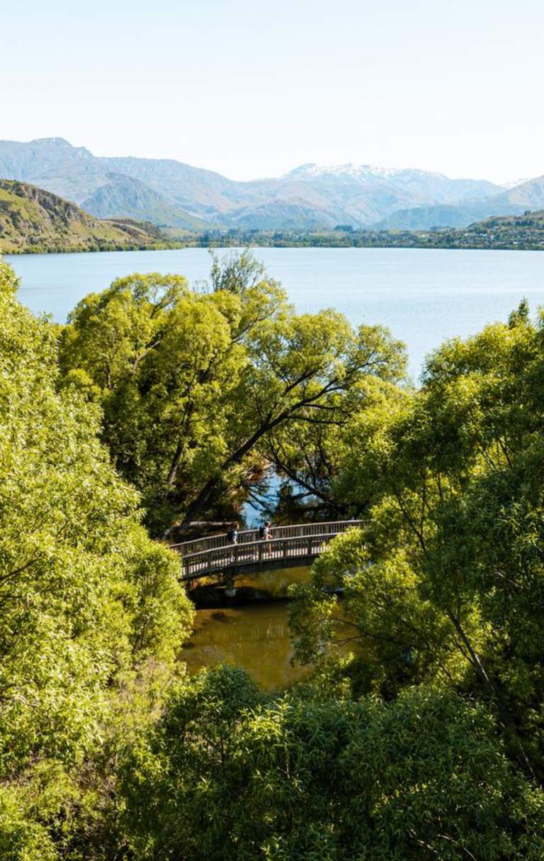 People walking the Lake Hayes loop track surorunded by trees with a view of lake and mountains in the background