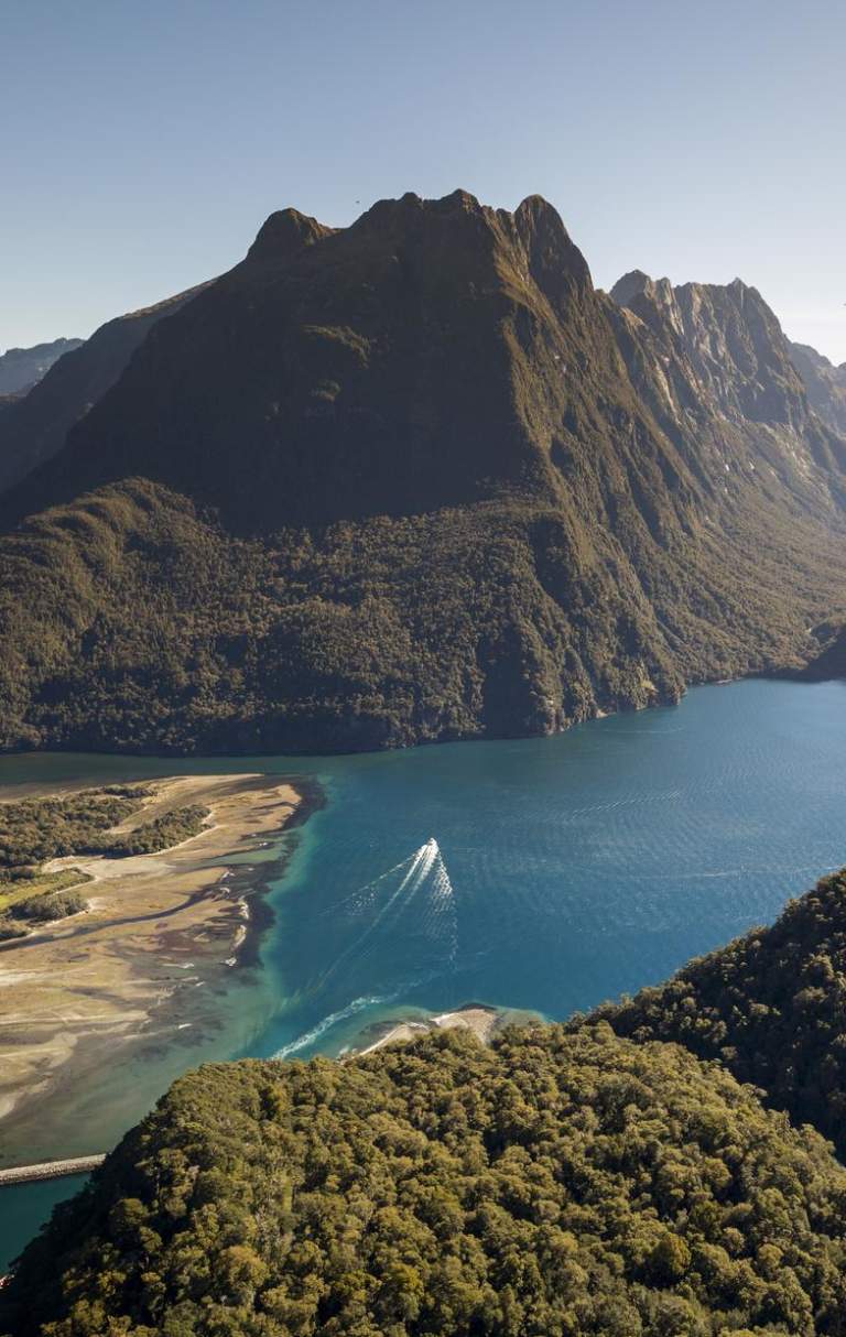 Milford Sound in summer from above