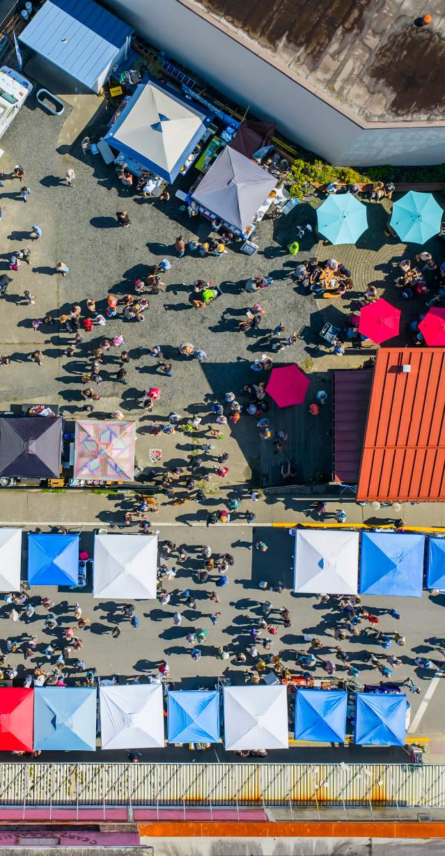 Blueberry Arts Festival Aerial View 2025