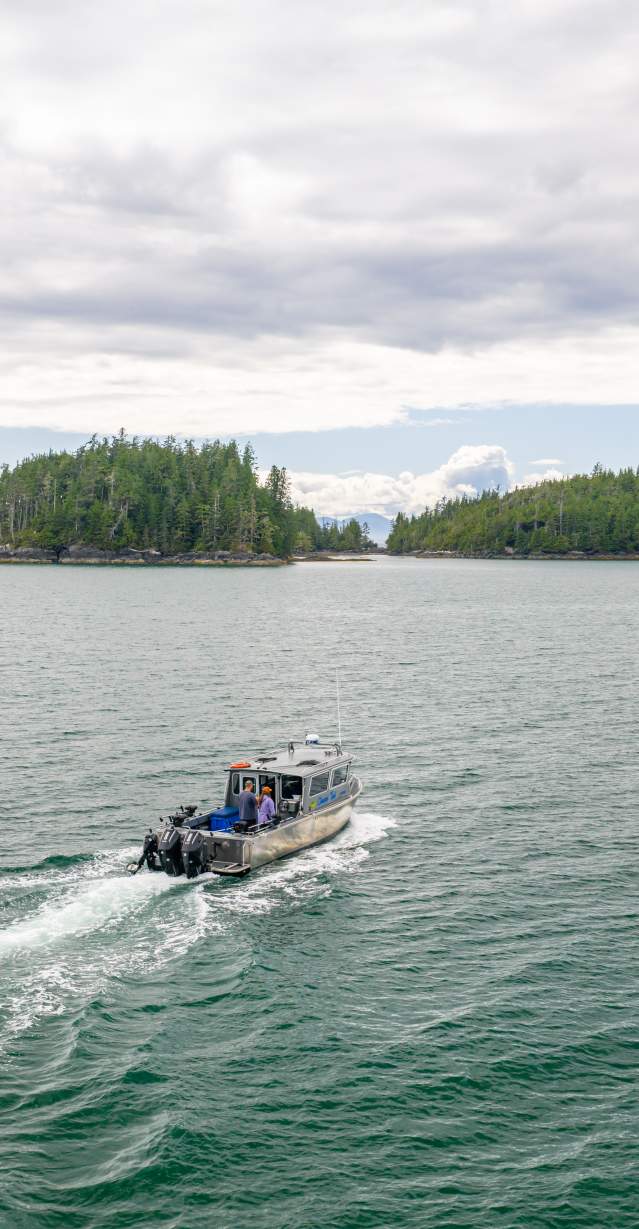 Chasin' Tail Charter Aerial View 2025