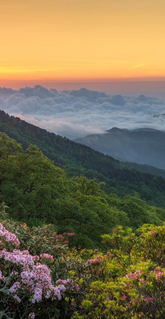Sweepstakes spring photo Canva
