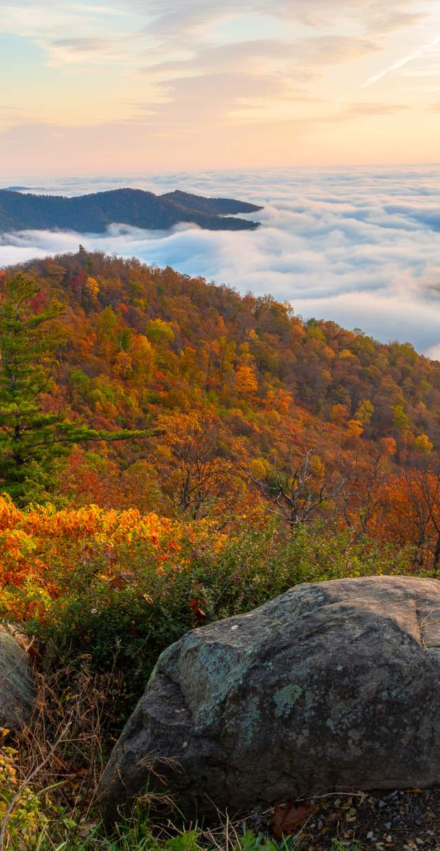 Fall in Shenandoah National Park