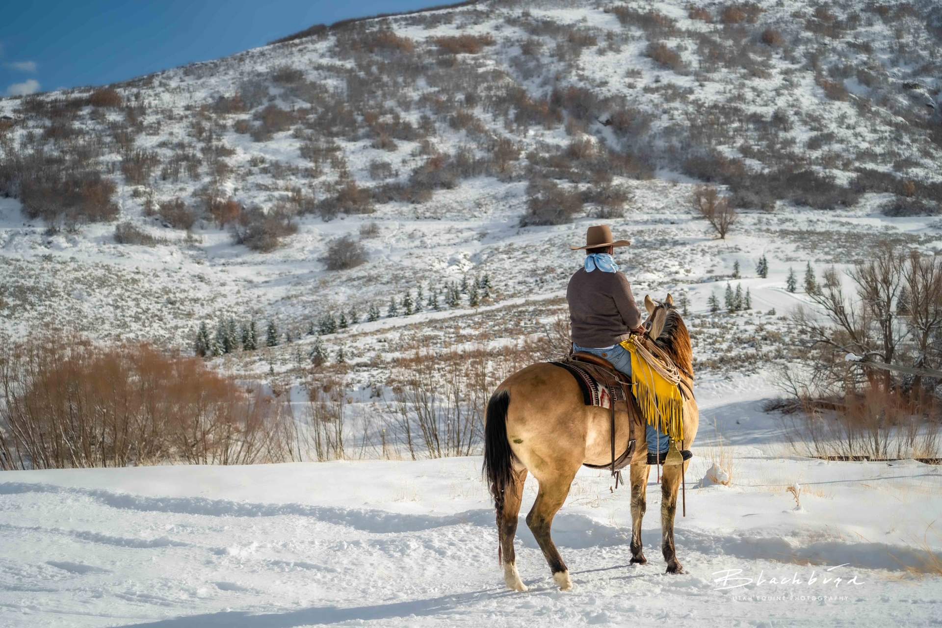 Horseback Rides In Park City UT Rocky Mountain Outfitters